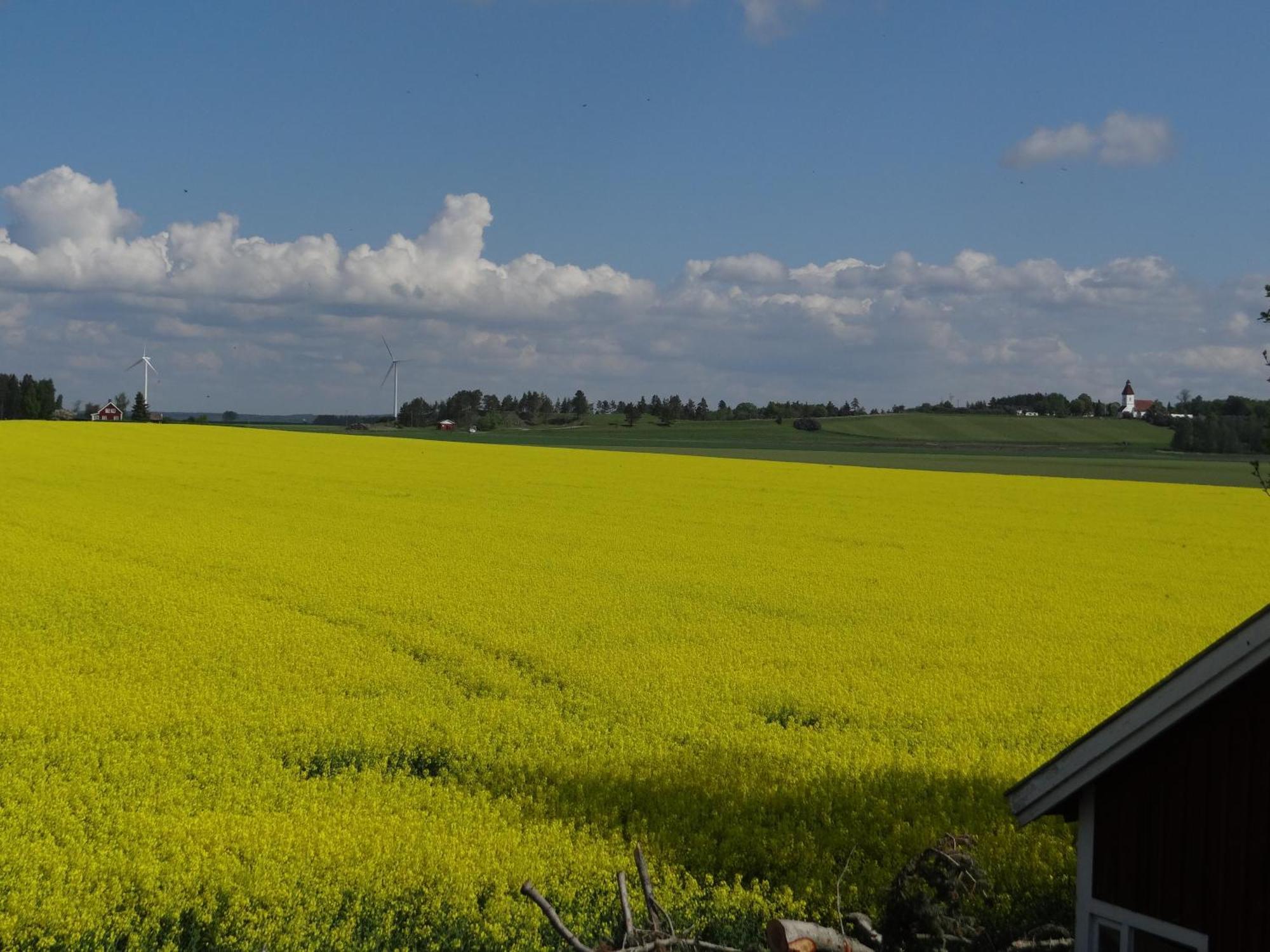 Pilgarden Fornasa, Draengstugan Esterno foto